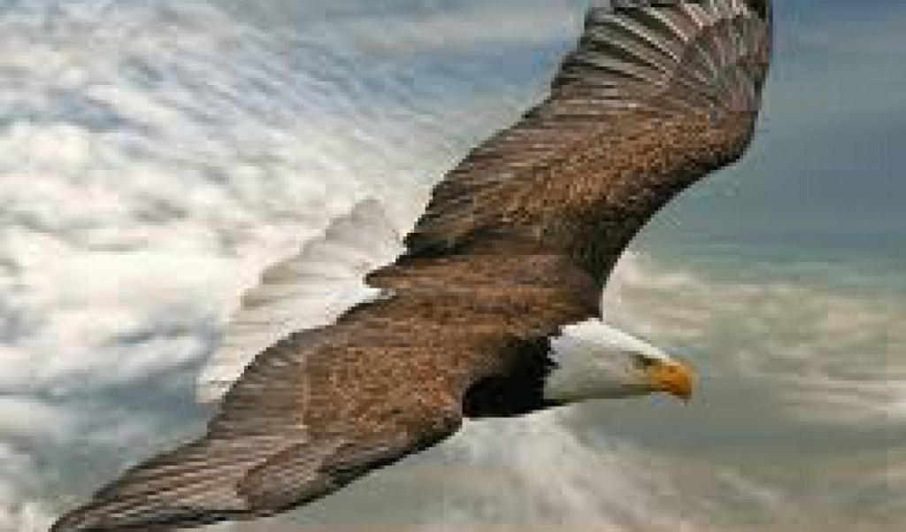 Power Thought: Week&nbsp;7